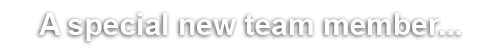 " width="500" height="53