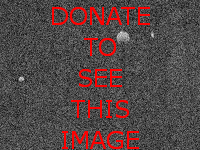 Donate to see this image!