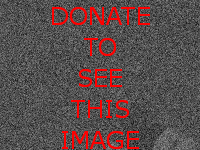 Donate to see this image!